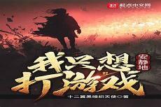 我想安静的打游戏txt