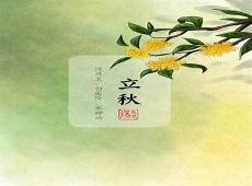 带暮字的网名