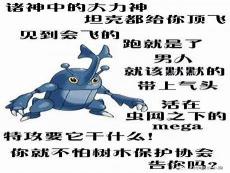 口袋妖怪水跃鱼